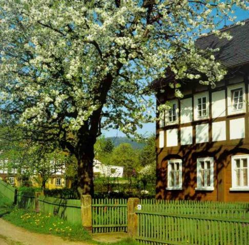 Umgebindehaus im Fr&uuml;hling in Bertsdorf 