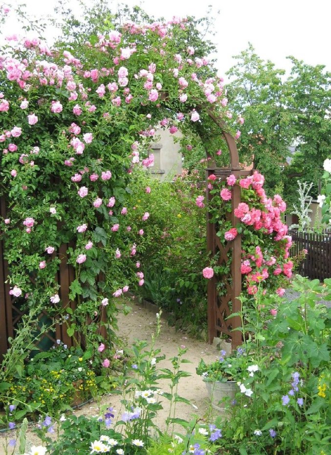 Unser h&uuml;bscher Rosenbogen